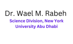 Collaboration with NYUAD in Molecular Modeling